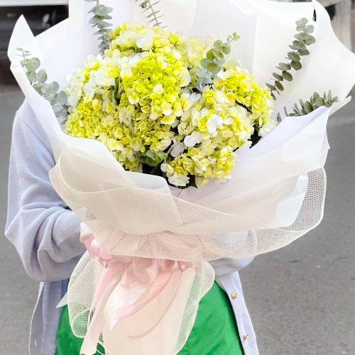 Bó Hoa Cẩm Tú Cầu M104