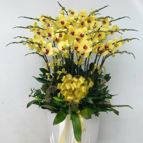 Hoa Lan Hồ Điệp M324