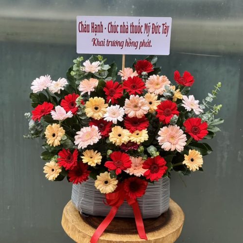 Giỏ Hoa Đồng Tiền M483