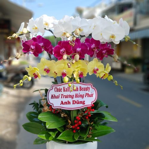 Hoa Lan Hồ Điệp M396