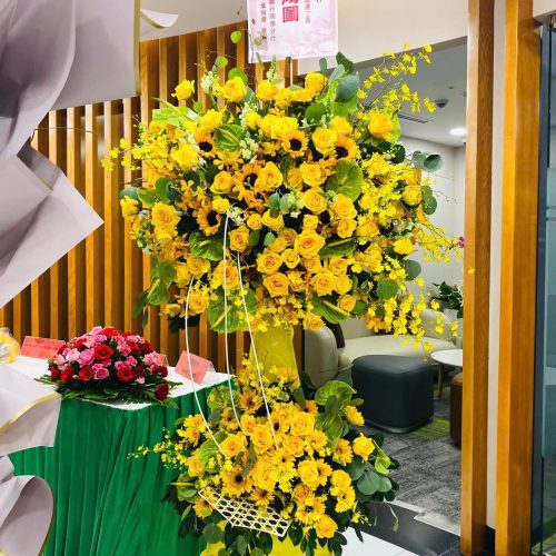 Hoa Khai Trương M437