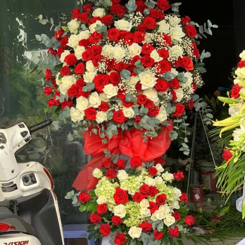 Hoa Khai Trương M425