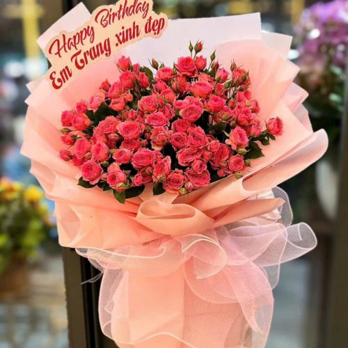 Bó Hoa Hồng Sophia S13